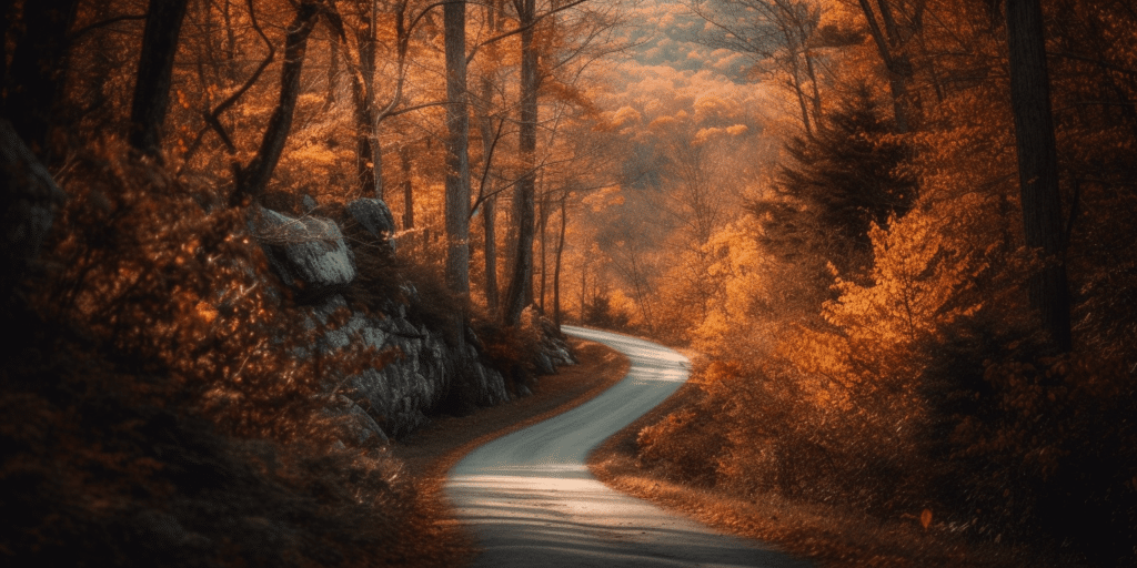 North_Carolina_as_depicted_in_photography_style